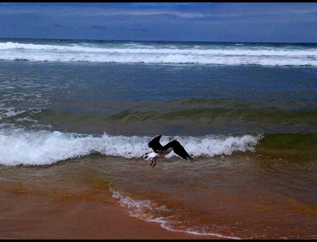 LAND FOR SALE IN GLENTANA